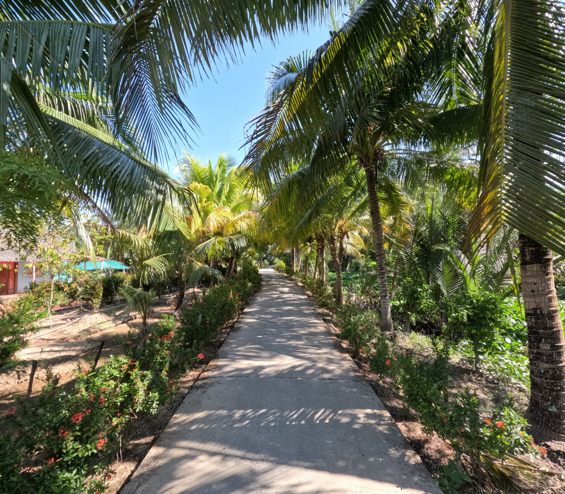 Vietnam