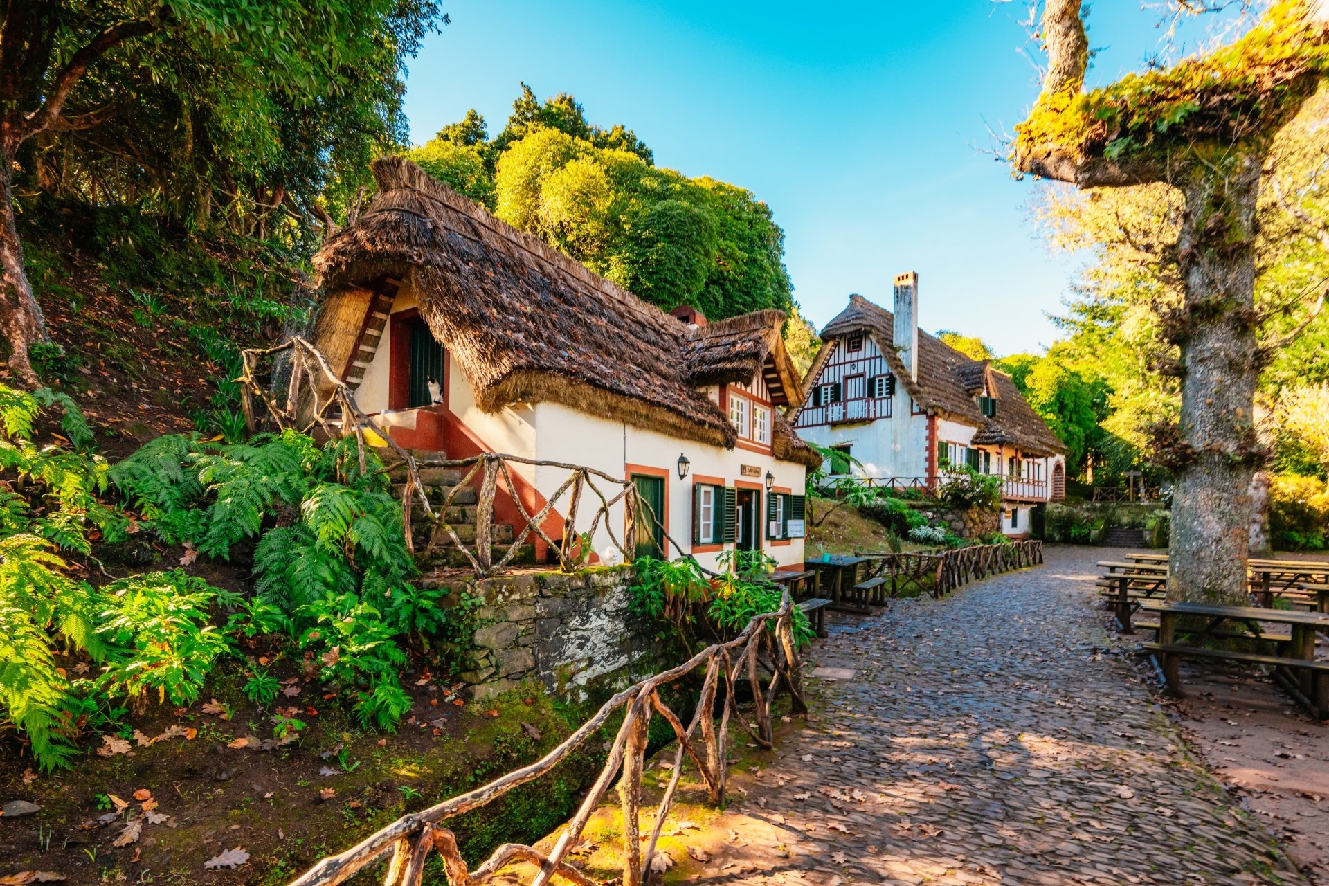 Madeira